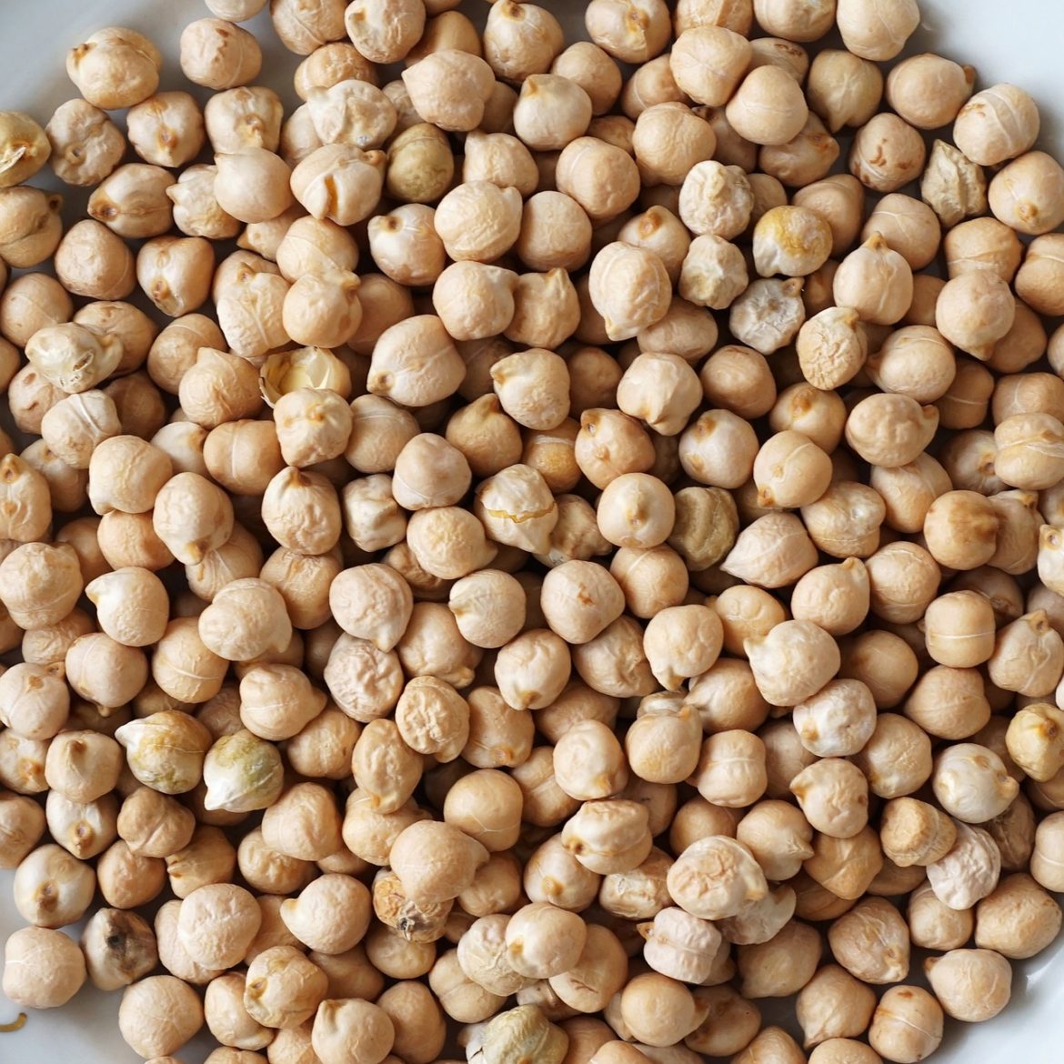 chickpeas-2240388_1280